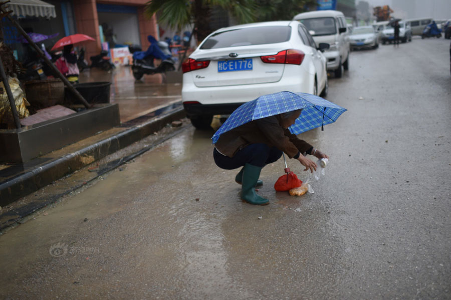 Huang Huiying picks up a steamed bun from the ground on her way home. To save money, Huang hasn&apos;t bought any meat in the past four years. Her family could get 3,800 yuan of minimum living guarantee each quarter from the local county government and the number has increased to 5,300 yuan since May 2015. [Photo/Sina]