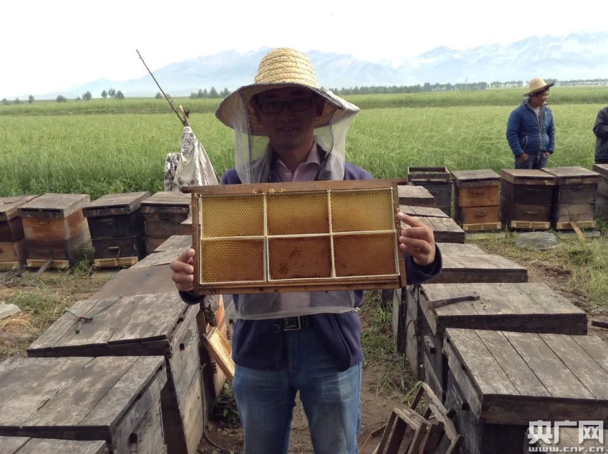 小伙深圳辞职田间创业 “互联网+农业”愿田间守黄金