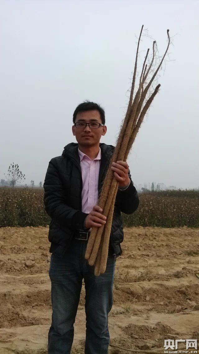 小伙深圳辞职田间创业 “互联网+农业”愿田间守黄金