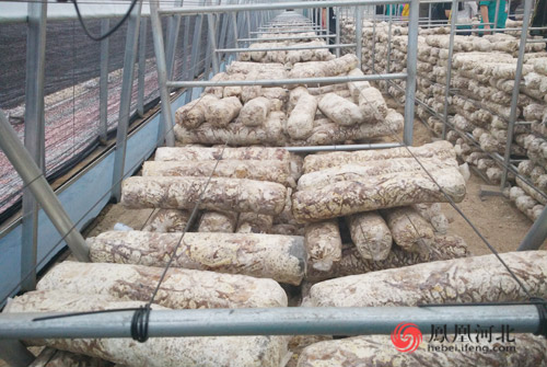 保定阜平贫困村:三年之变刮目相看(组图) 保定阜平贫困村:三年之变刮目相看(组图)