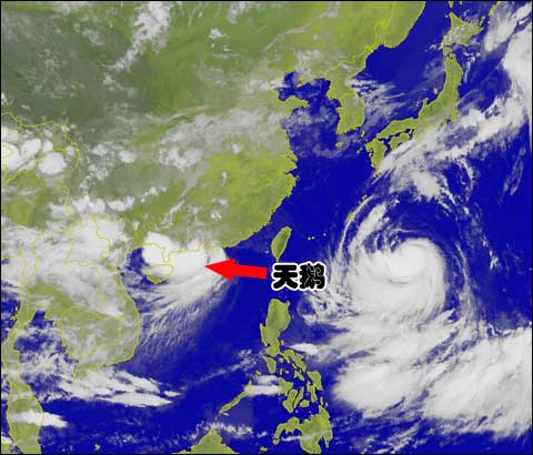 天鹅 5日6时20分在广东台山登陆 启动Ⅲ级响应