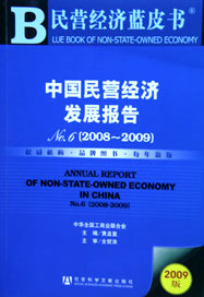 2009年中国民营经济发展报告