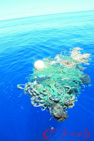 大洋里漂浮的垃圾：塑料、绳索、各种水生生物和一张废弃的渔网捆绑在了一起。