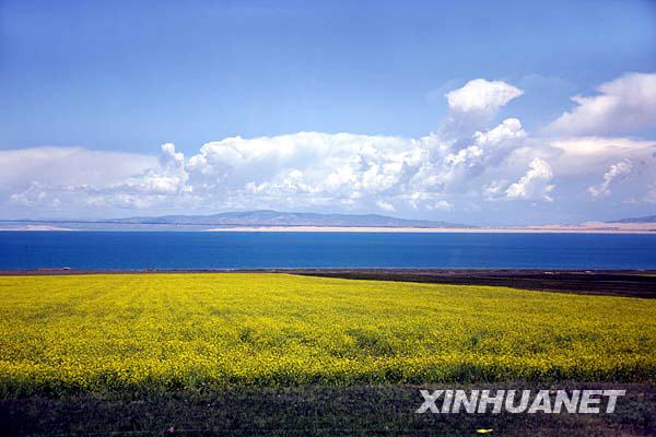 中国最大的内陆咸水湖--青海湖[组图] -- 中国发