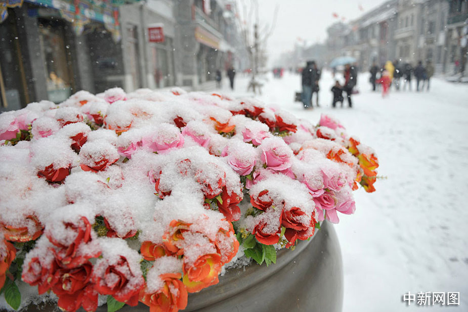 北京迎来大到暴雪 气温达40年来最低[组图]