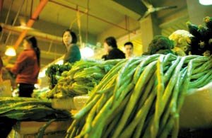 深圳检出海南毒豇豆 毒性是武汉的5倍(图)