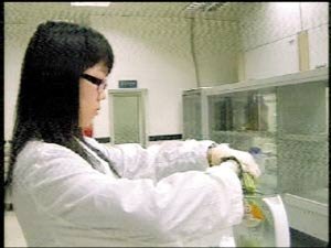 深圳检出海南毒豇豆 毒性是武汉的5倍(图)