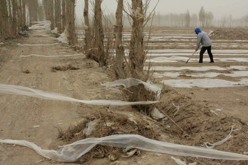 强沙尘暴袭甘肃新疆内蒙等地 局部能见度为零