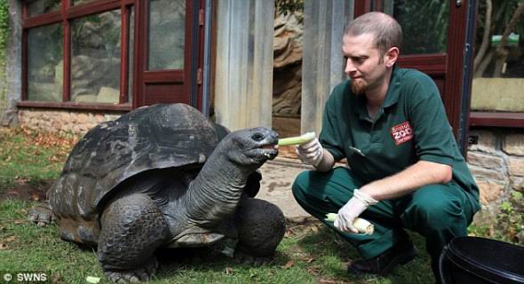爬虫馆馆长37岁的安迪在任务开始前喂比吉吃