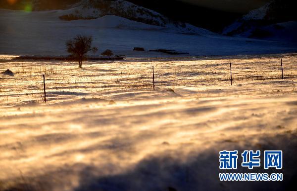 这是科右前旗满族屯满族乡被大雪覆盖的草场上刮起白毛风