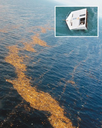 日海啸垃圾形成长111公里巨岛 3年后到美西(图) 