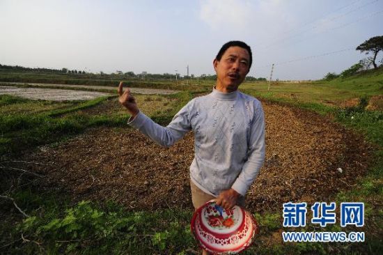 5月3日，湖北省孝昌县花西乡全民村6组的付梅清刚花了780元浇了家里的5亩田，准备育秧。