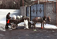 这幅图片是哈萨克斯坦贫困现象的一个缩影。这个人以收破烂为生。为了能够找到一些可以卖钱的垃圾，比如，瓶子，废纸，旧衣服，他每天穿梭于城市的各个角落。