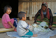 在泰国北部靠近金三角的地区，泰国政府出资鼓励当地村民种植粮食作物，不再种植罂粟。然而，仍然有很多人生活困难，没有稳定的收入来源。