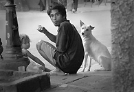 一个小孩，一个男子和一条狗，都带着好奇的眼神看着照相机。