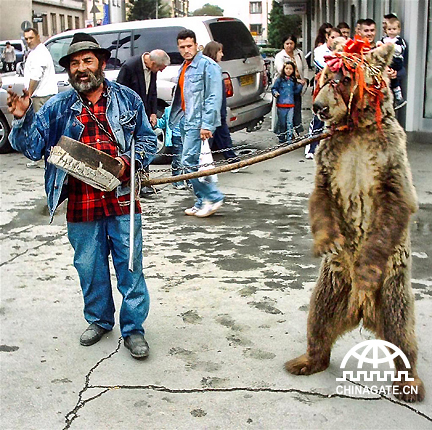 在城市庆祝活动上，吉普赛老人牵着一只熊跳舞乞讨。
