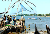 印度科钦港口的渔民用这张中国制造的渔网来捕鱼。虽是中国造，但如今这样的渔网只有在这里才能看到。这种渔网的神奇之处是它能按照客户的需求捕规定数量的鱼。干一段时间捕鱼的活，渔民们就可以挣到一些钱了。