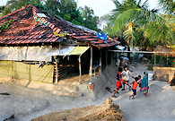 在距离加尔各答150公里的孙达班小岛上的一个村子里，孩子们手拉手在一起玩耍。这里的村民靠种地和捕鱼为生。之前岛上没有任何家用电器，近年来，在政府的资助下，每一家都装上了太阳能和卫星天线。