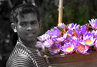 这个男子在科伦坡郊区的一个小村子里养花，然后拿到市里来卖。