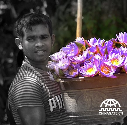 这个男子在科伦坡郊区的一个小村子里养花，然后拿到市里来卖。