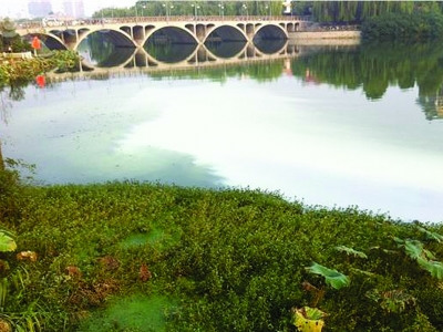 百家湖再次遭受乳白色污水侵袭。(图片由小区居民提供)