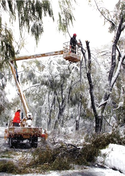 北京延庆县城积雪深47厘米 市区菜价上涨21%