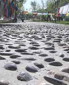 在我心里盲道是凸起的石头和其他的路不同，让我知道前面的路非常安全。这条盲道上镶嵌的石头与其他盲道上的石头不同，它是光滑的鹅卵石，走在路上好似有人在帮我足底按摩一样十分舒服。