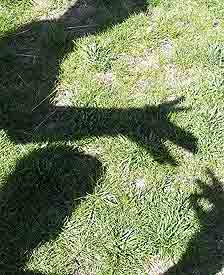 说到手影，想必大家都对这个游戏十分熟悉。那天中午我们盲校的伙伴们去了市区郊外的公园，当天艳阳高照，于是我们在草地上玩起了这个童年时的游戏。贡布哥说做了狼狗的摸样，次仁说做出了兔子的模样。我们一起玩的很开心，仿佛又回到了童年。