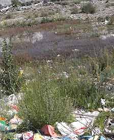 原本以为经幡的后面是一条美丽的河流，未曾想眼前的场景是如此的脏乱不堪，我十分的心痛。所以我拍下来想让更多的人知道，呼吁大家好好爱护环境，爱护我们美丽可爱的家乡，并且希望大家能够做到表里如一，在城市能看到的地方以及不能看到的角落都能做到干干净净的。