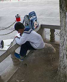 走在日光之城拉萨街头，树荫最受大家欢迎。如果你想问路，树荫下一定会有人乐意给你提供帮助。我在树下休息了许久，起身找寻方向，发现身边有个安静地写着作业的小孩。 得到帮助后，我想，我应该记录下树荫下的这一片宁静与祥和。