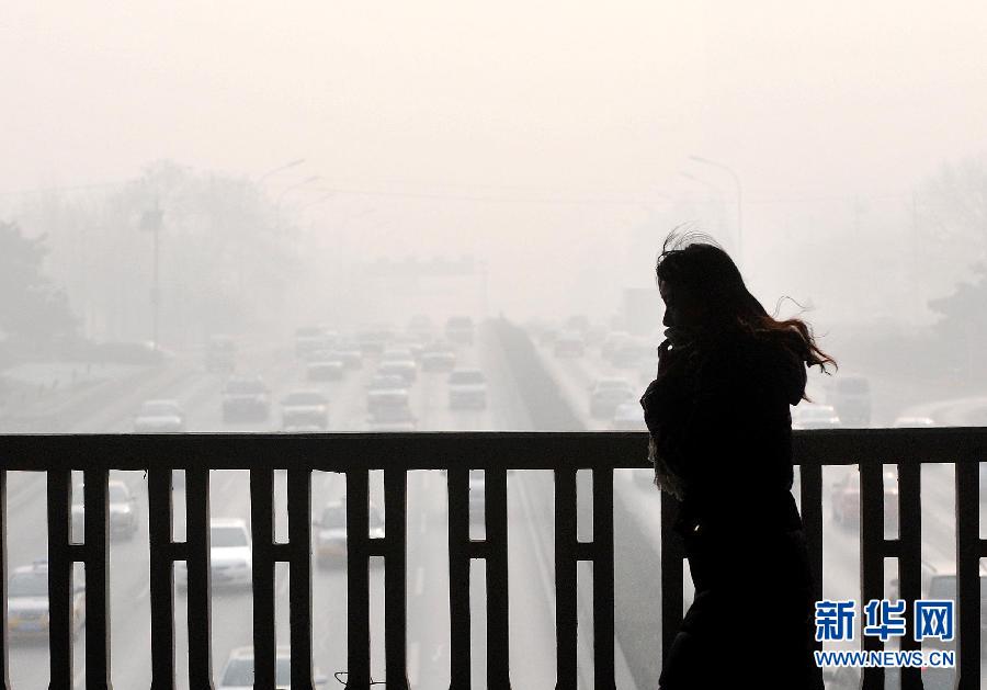 “北京的天气是纱帐里的姑娘----雾里看花”1月12日，在北京西二环广安门桥上，一位行人匆匆而过。 10日晚间开始笼罩京城的雾霾仍在继续，12日北京ＰＭ2.5指数濒临“爆表”，空气质量持续六级严重污染。北京环境监测中心专家表示，从污染形势预报的分析结果看，此次影响北京市的重污染过程在1月14日之前不会发生明显改善。新华社记者公磊摄