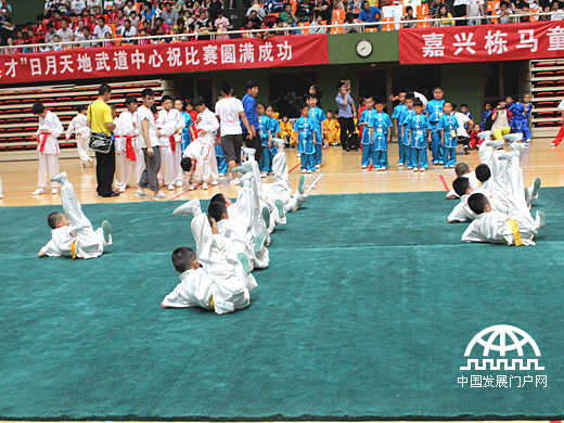 2013年北京市少儿武术比赛暨第十届幼儿武术比赛