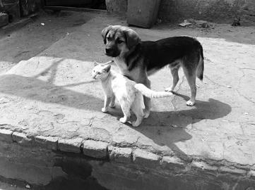 快看,對面有美女!