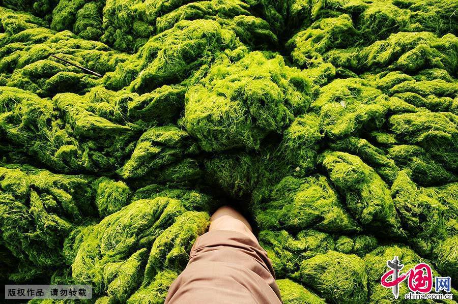 “苏力（SOULIK）”这个名字由太平洋上的一个岛国密克罗尼西亚提供，意思是该国波纳佩岛传统将领的衔头。SOULIK，一个将领的名字，有着战场上的骁勇和魄力。