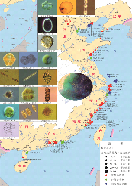 《2012年中国海洋环境状况公报》全文