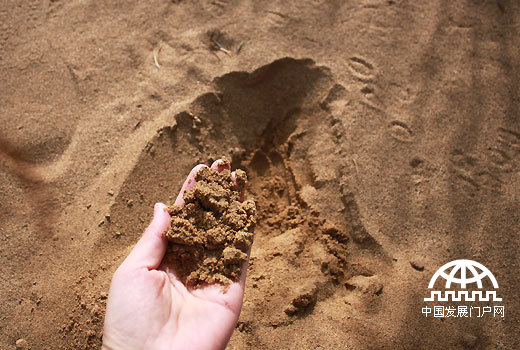 4万多平方公里的毛乌素沙地是含水沙地，浅的地方往下挖2到3公分可看到湿沙。（中国网/中国发展门户网 魏博 拍摄）