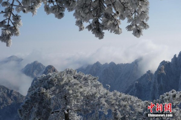 黄山景区迎新年“初雪” 现云海景观显奇秀俊美