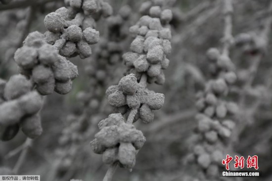 印尼锡纳朋火山持续喷发 周边村庄成“灰色”地带