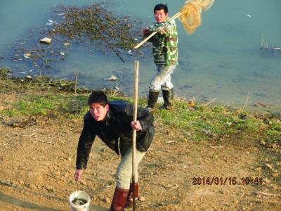 秦淮河源头惊现10公里死鱼带 部分已流入市场