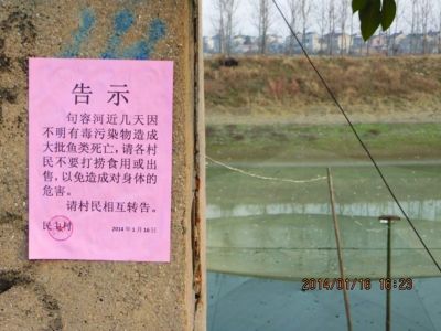 秦淮河源头惊现10公里死鱼带 部分已流入市场