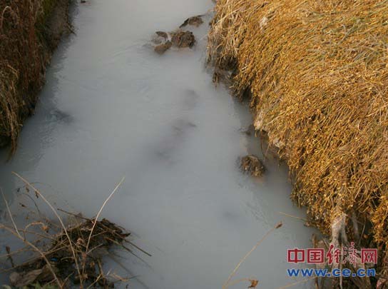 安徽天长杨村工业园污水直排再现'牛奶河'