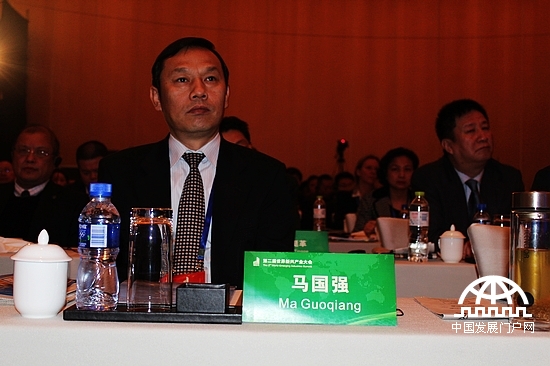 武汉钢铁集团总经理马国强。