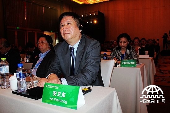 武汉市外侨办主任安卫东。