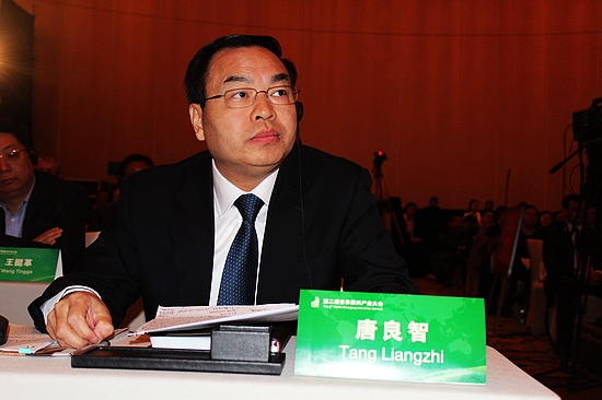 武汉市人民政府市长唐良智。