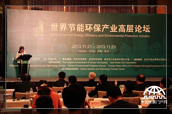 第二届世界新兴产业大会节能环保高层论坛会议现场。