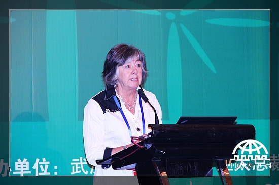 澳大利亚新南威尔士大学教授苏珊·玛丽·霍利迪在第二届世界新兴产业大会世界节能环保高层论坛上发表演讲。