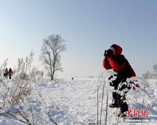 吉林现雾凇美景（图）