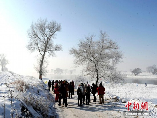 吉林现雾凇美景（图）