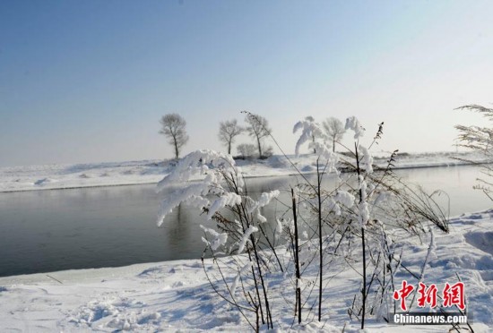 吉林现雾凇美景（图）