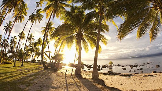 堪比天堂 走进斐济五大生态环保度假村